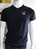 Camiseta Gola V Masculina Hollister Co. Tam. GG