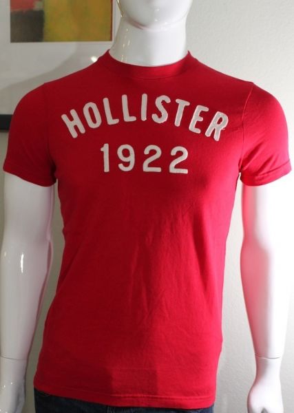 Camiseta Masculina Hollister Co. Tam. G